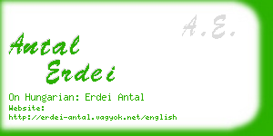 antal erdei business card